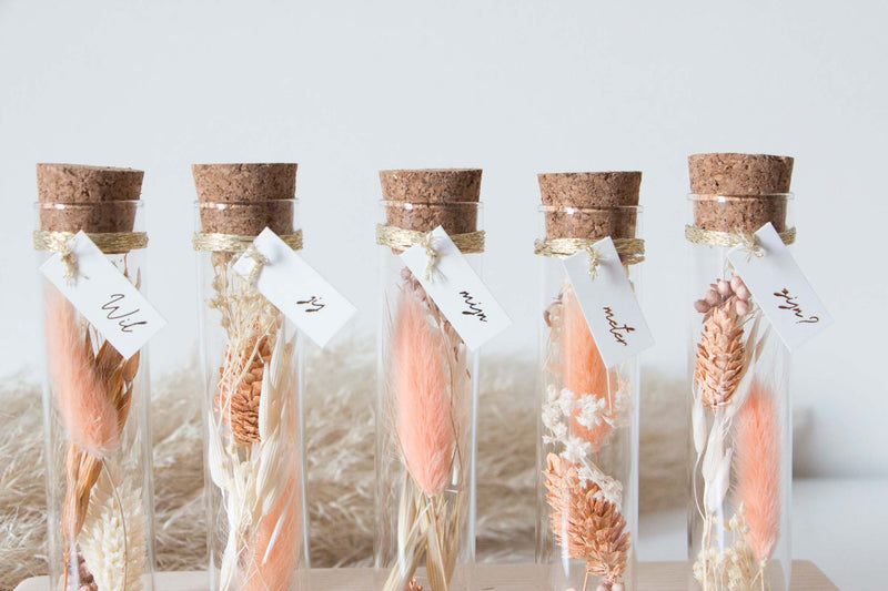 DRIED FLOWER TUBES GODMOTHER - PEACH